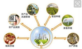 智慧農(nóng)業(yè)的網(wǎng)絡(luò)技術(shù)研發(fā) 借鑒國外經(jīng)驗(yàn)，探索中國特色發(fā)展道路